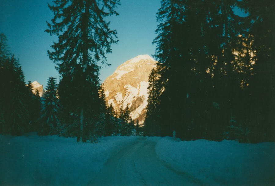 Bilder M Quandt 1989 -06